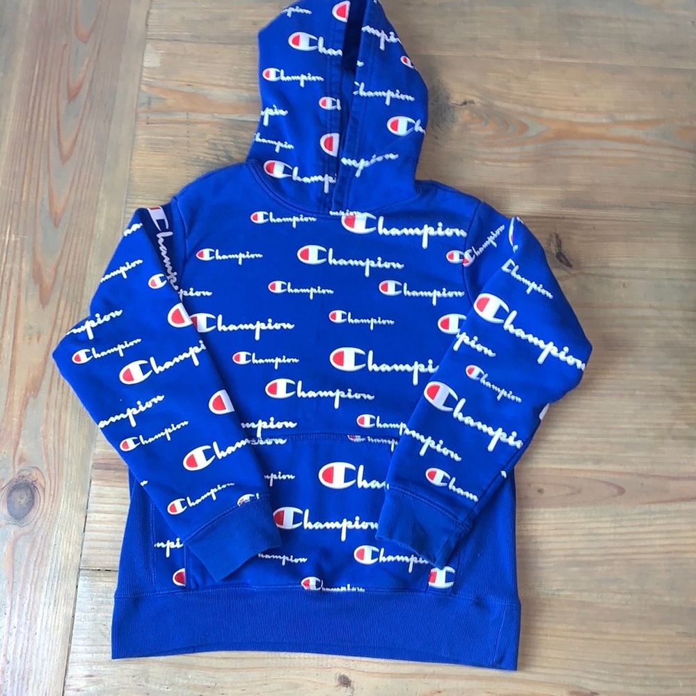Champion Heavyweight Hooded Pullover